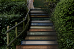 The-Library-Steps_Chris-Eaves-First